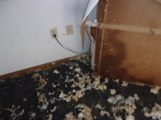 water damage rm 25 -dec 4, frozen pipes 007.JPG