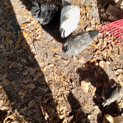 20221213_135137.jpg