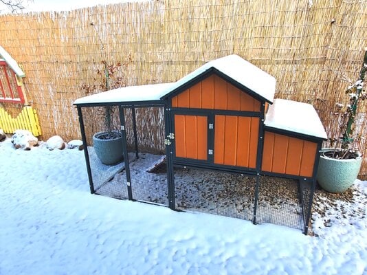 Hen House in Snow 2-2-22 1.jpg Hen House in Snow 2-2-22 1.jpg