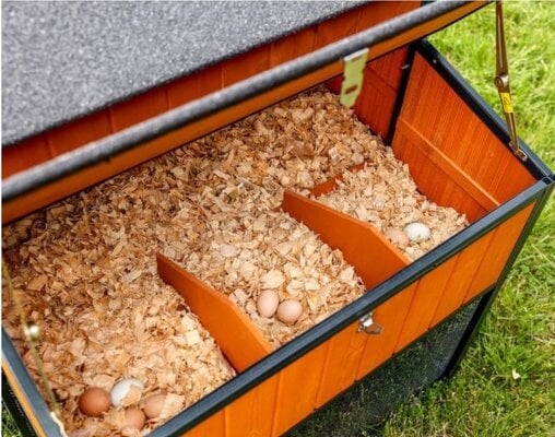 Tractor supply 5 photo of chicken coop.jpg Tractor supply 5 photo of chicken coop.jpg