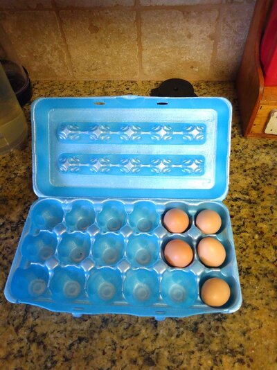 Small Eggs.jpg Small Eggs.jpg