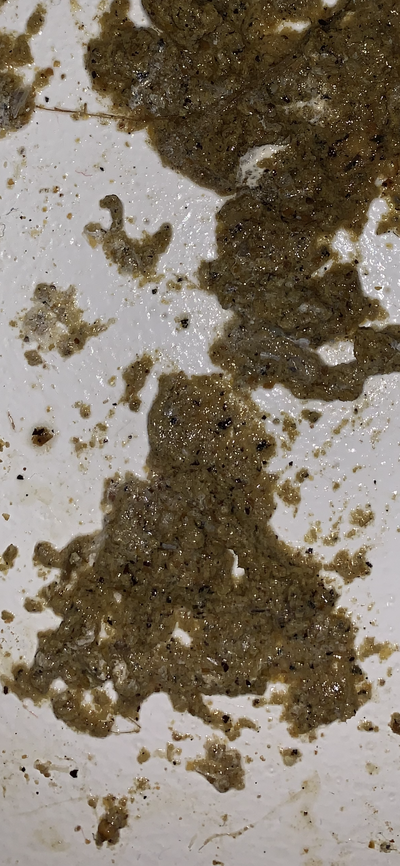 E36E1D95-29AA-42C7-B496-D925B156D25C.png