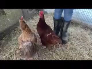 VideoCapture_20221230-211058.jpg