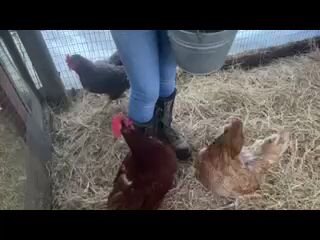 VideoCapture_20221230-211032.jpg