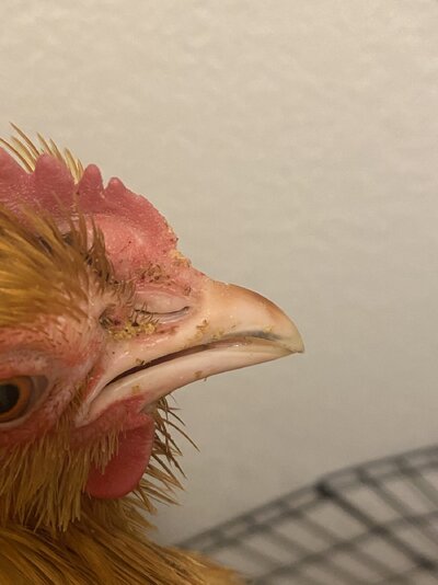 E50313A3-C067-4BB3-A2DF-6E84AA2F0674.jpeg