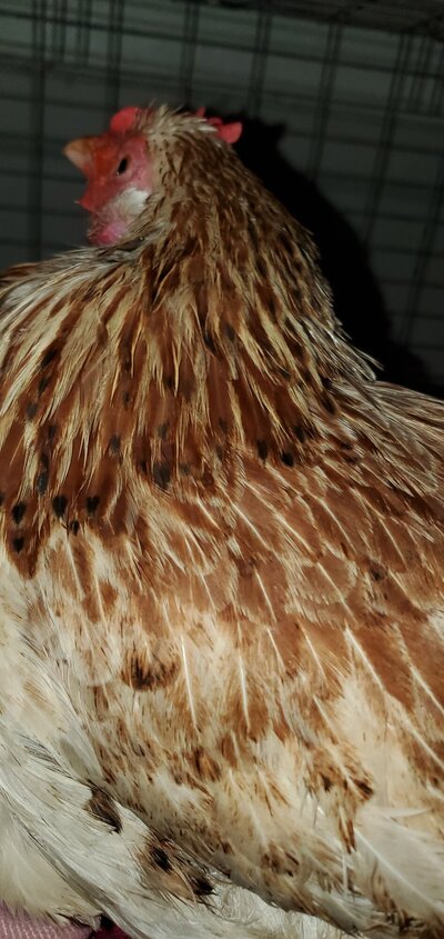 20230110_155713.jpg