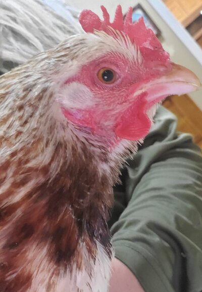 20230108_175222.jpg