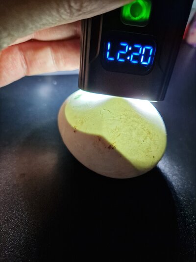 20230111_181211.jpg