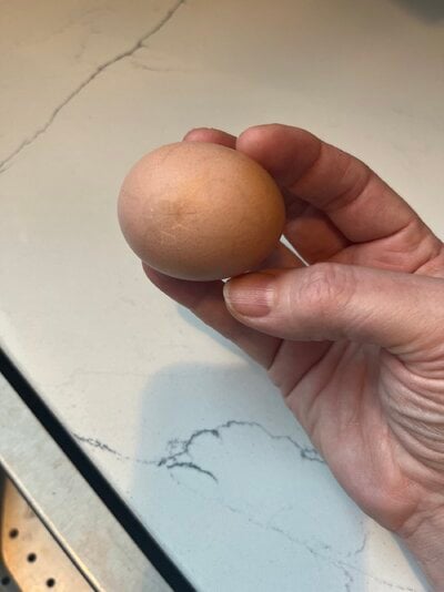 C374181C-0449-4881-B486-A0F641564308.jpeg