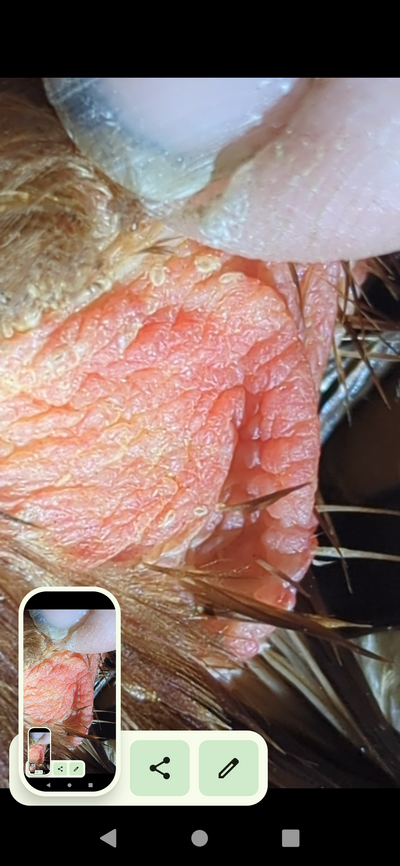 Screenshot_20230112-204500.png