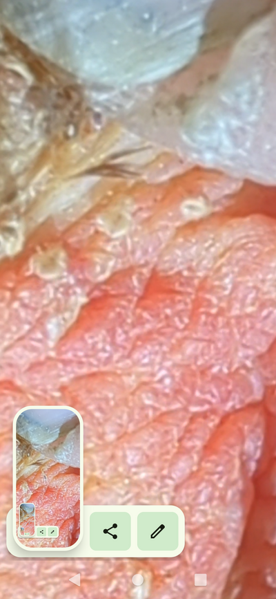 Screenshot_20230112-204812.png