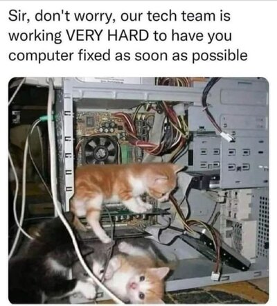 C7F90763-46D3-4C4E-B24F-9AB2DEB60584.jpeg