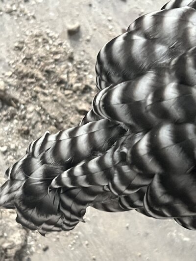 1AD38AE7-66C0-40C3-BAC5-AC8CF7DBFDFD.jpeg