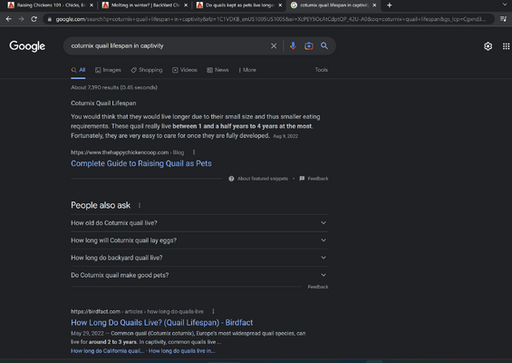 Screenshot (13).png