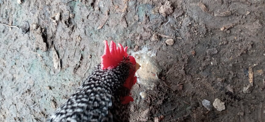 20230118_155524.jpg