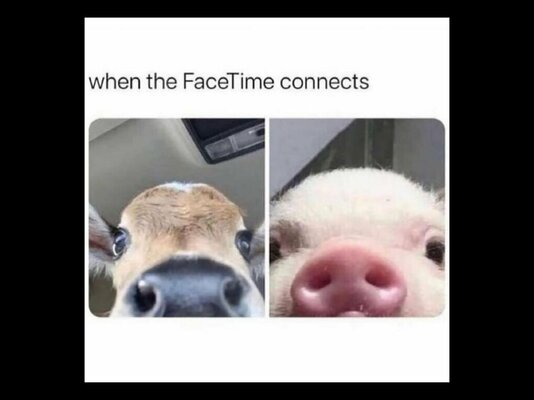 3C9C923F-88EC-44C7-ACCD-5BD2BAAA0549.jpeg
