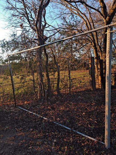 20230122_074119.jpg