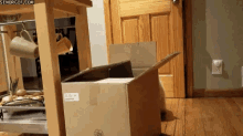 cat-in-a-box-cats (1).gif