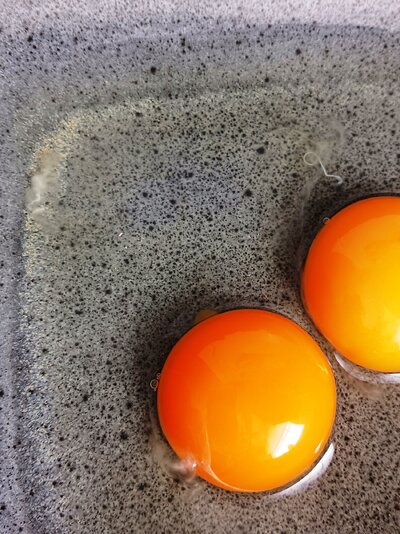 Eggs - worms.jpg