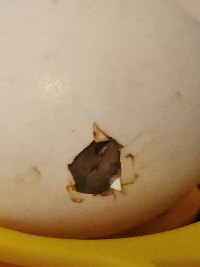 20230131_083450.jpg