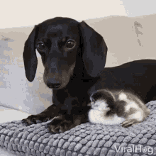 couples-cute.gif