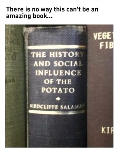 Amazing-book-Potato-Meme.jpg