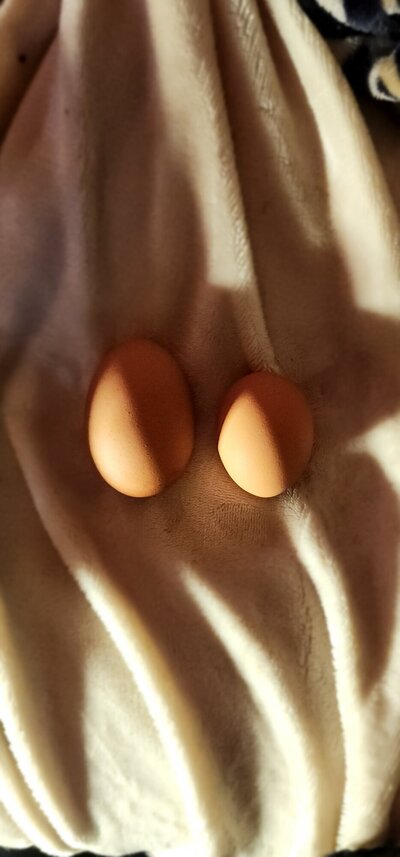 20230216_163618.jpg