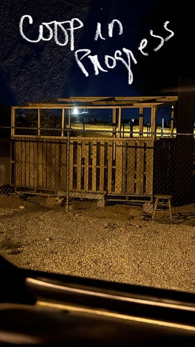 789AA27F-7AF2-4390-8E2F-2DA65048CF4E.jpeg