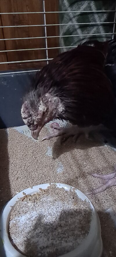 20230222_190330.jpg