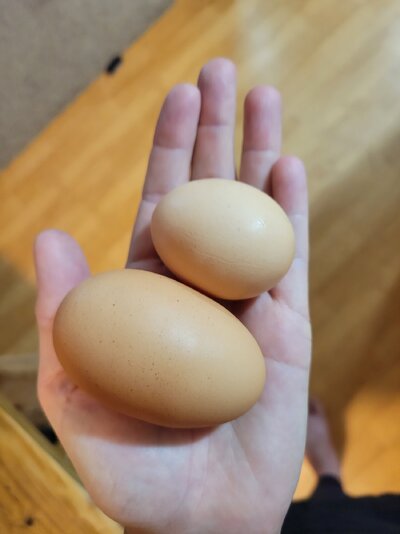 20230227_132850.jpg