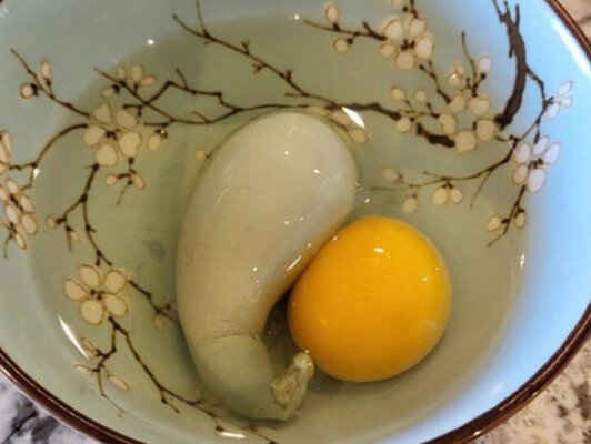 02CA5CF3-B262-4297-9C3A-424BB8ADBF56.jpeg