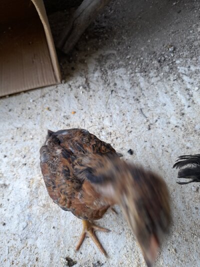 20220724_154601.jpg