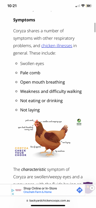 00D11328-EB6E-4A64-AA1C-54ADA9847C01.png