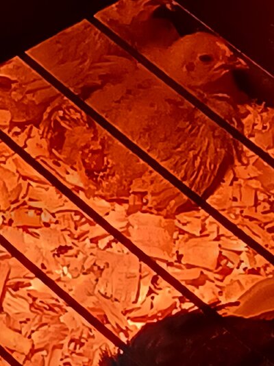 20230313_013102.jpg