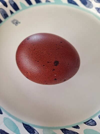 20230314_121954.jpg