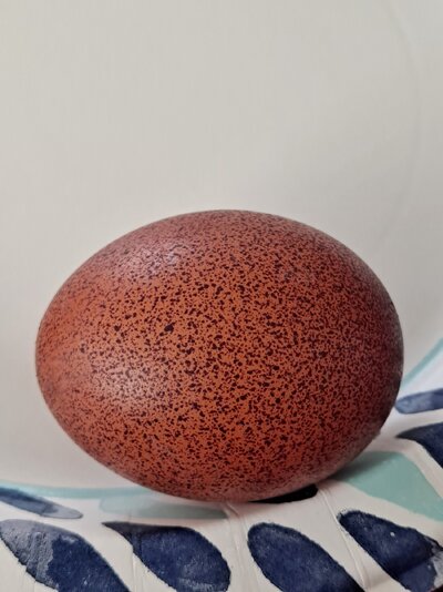 20230314_131623.jpg