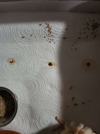 Fecal Photos.jpg