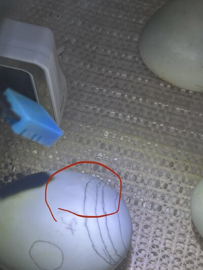 E1847540-CEC7-46FA-9DED-CC638BC4B445.jpeg