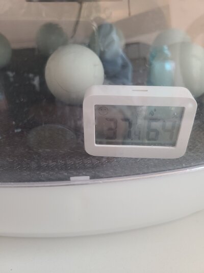 20230317_104557.jpg