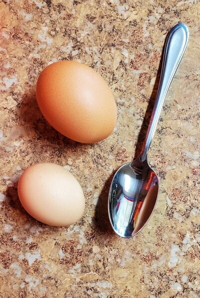 egg size compare lr.jpg