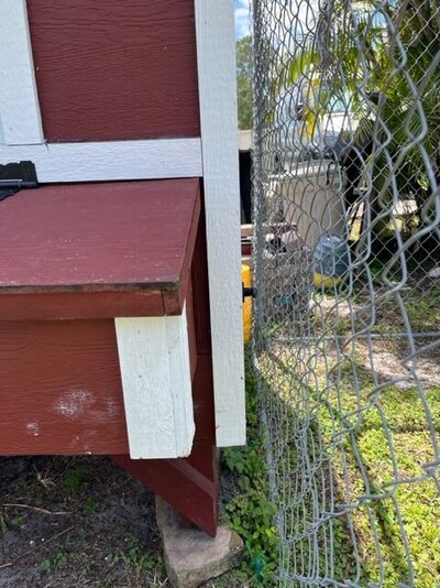 IMG_5477.jpeg
