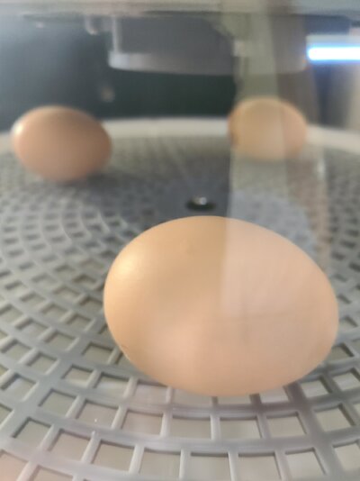 20230403_163709.jpg