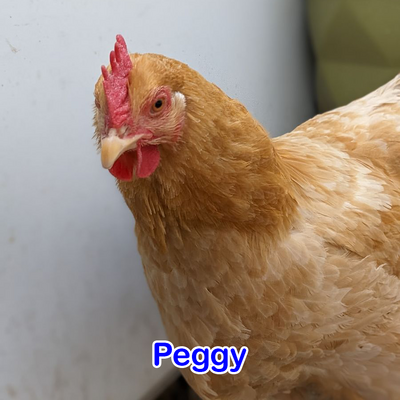 Peggy.png