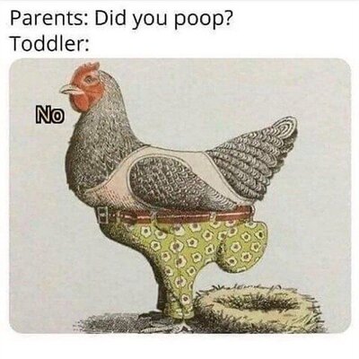 43 Cool Pics and Memes to Start Your Week.jpeg