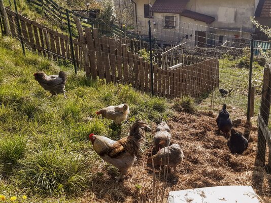 20230410_102810 (1).jpg