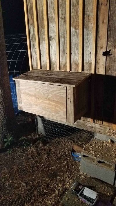 Exterior view of new Nest box.jpeg Exterior view of new Nest box.jpeg