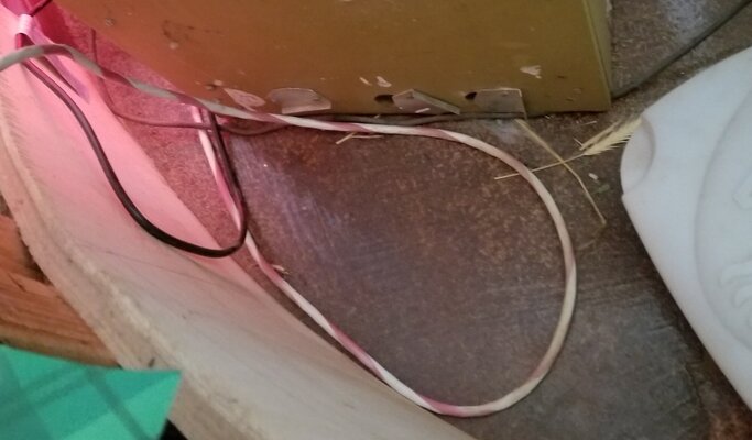 20230410_105130.jpg