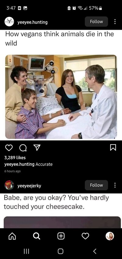 Screenshot_20230410-154712_Instagram.jpg