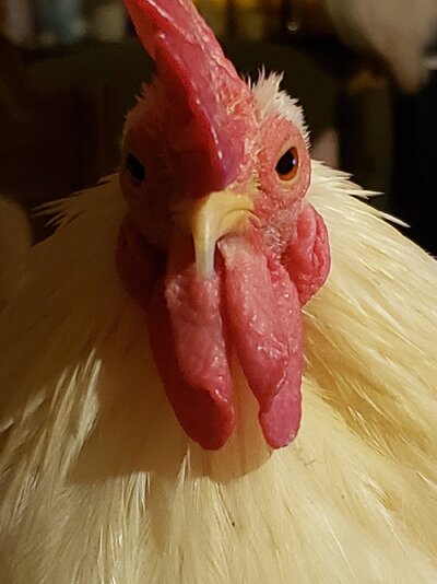20230203_011215.jpg