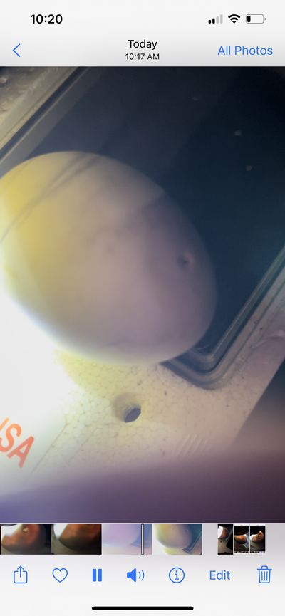 3D554C01-B24B-4E90-95F7-C54612C5FE1E.png